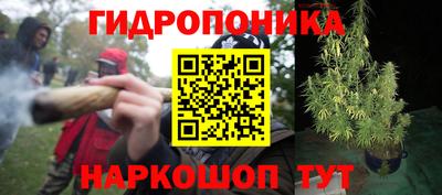 стаф Волжский