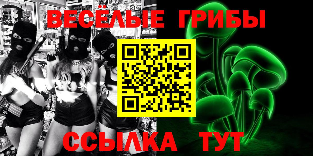 Галлюциногенные грибы Psilocybine cubensis Мыски